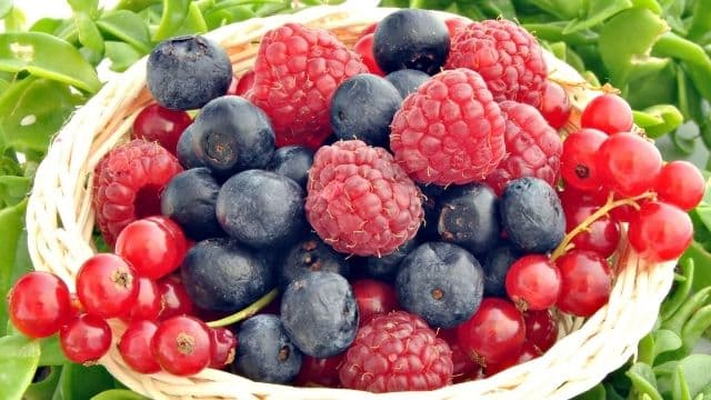 Melhores frutas para uma dieta low carb