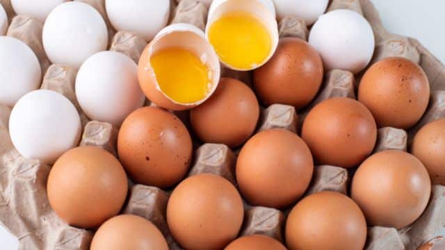 Faz mal comer ovos todos os dias?
