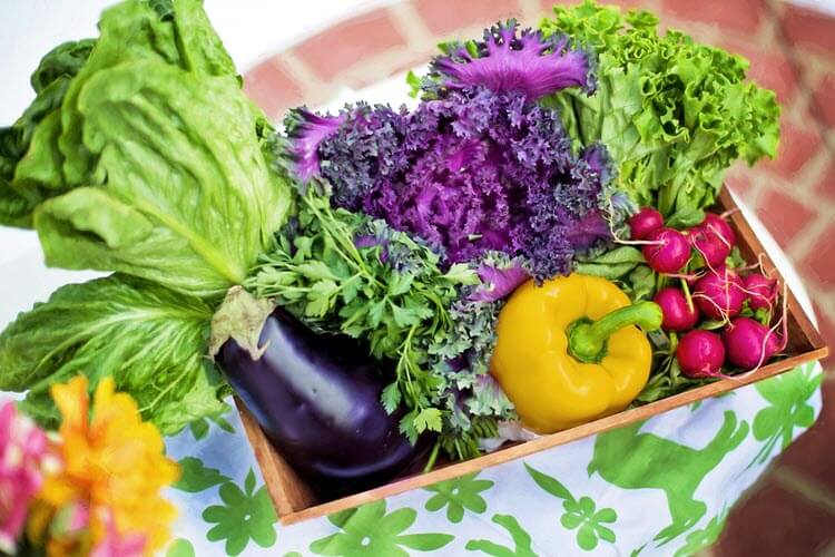 Frutas, verduras e legumes